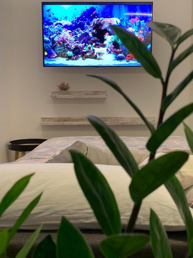 Peaknest - La Tua Vacanza Sul Lago Di Garda Arco Eksteriør billede